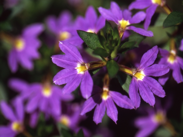 Portal-Japan 日本全国(47都道府県、1790市区町村)の総合ポータルサイト「ポータルジャパン」「ひるなび」「ポータルサイト」「全国版情報ポータルサイト」「hirunabi」 東京都多摩市