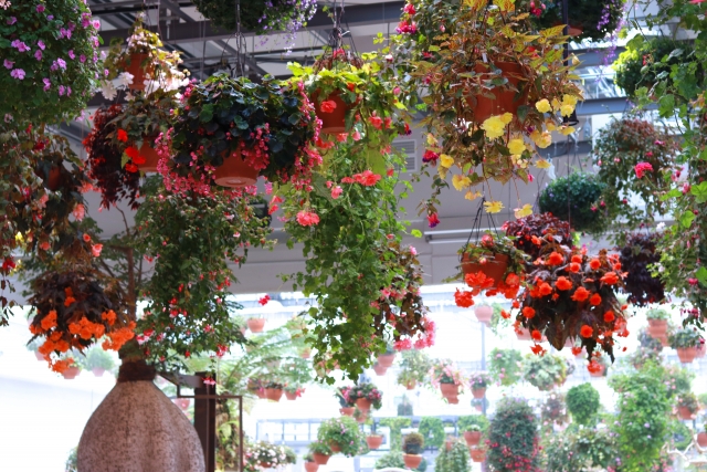 Portal-Japan 日本全国(47都道府県、1790市区町村)の総合ポータルサイト「ポータルジャパン」「ひるなび」「ポータルサイト」「全国版情報ポータルサイト」「hirunabi」 東京都稲城市