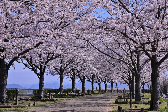 Portal-Japan 日本全国(47都道府県、1790市区町村)の総合ポータルサイト「ポータルジャパン」「ひるなび」「ポータルサイト」「全国版情報ポータルサイト」「hirunabi」 東京都稲城市