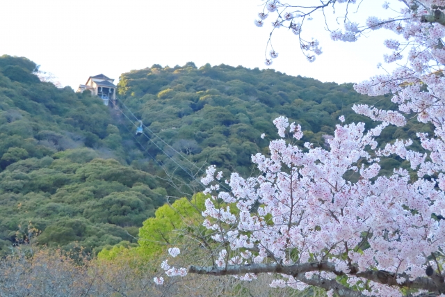 Portal-Japan 日本全国(47都道府県、1790市区町村)の総合ポータルサイト「ポータルジャパン」「ひるなび」「ポータルサイト」「全国版情報ポータルサイト」「hirunabi」 山口県岩国市
